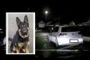 The Volkswagen Golf which was stopped by police and German Shepherd Zargo