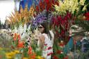 Want to win tickets to enjoy RHS Tatton?