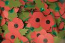 School pupils will plant poppies on soldiers' graves.