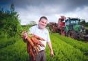 Final harvest for Rainford farming business as it appoints administrator