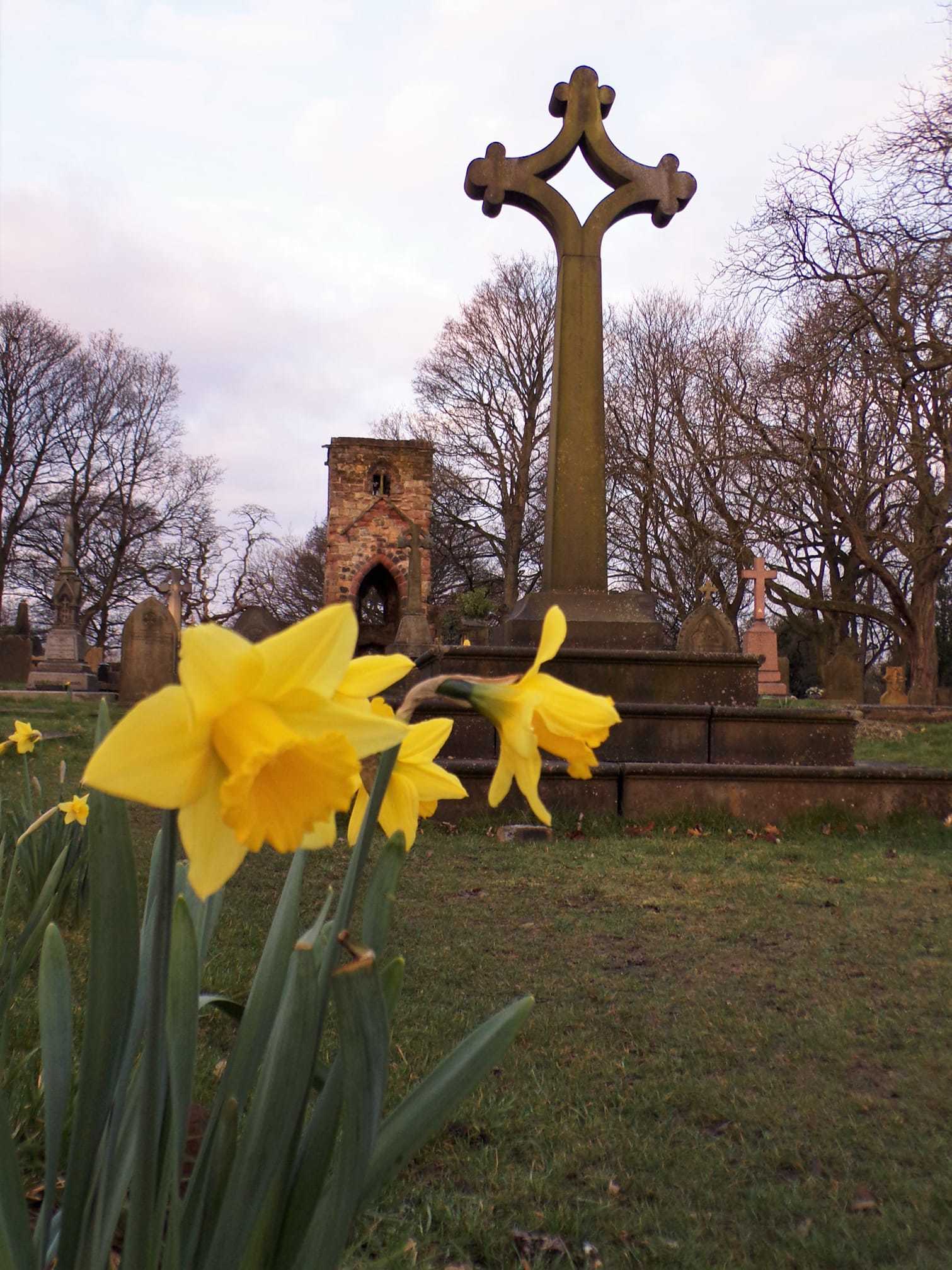 A splash of yellow at St Helens Chantry by Suzie Remadems