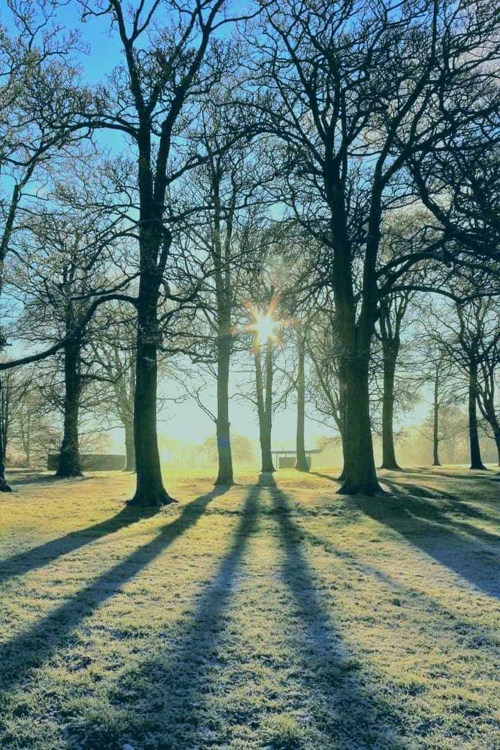Winter shadows at Sherdley Park by Peter Boylan