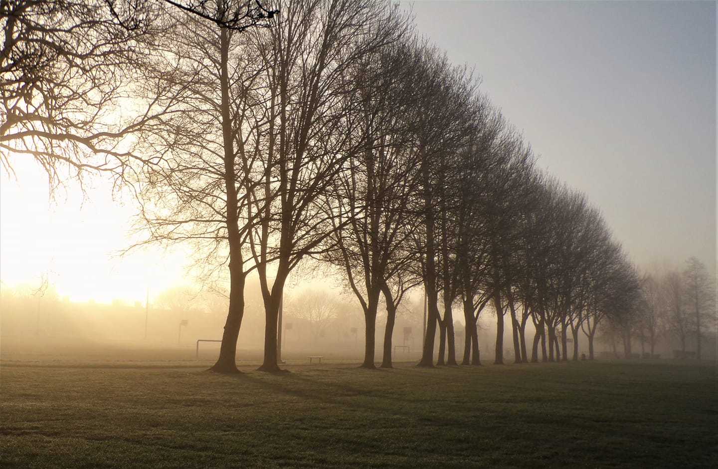 Misty morning in Queens Park by Suzie Remadems