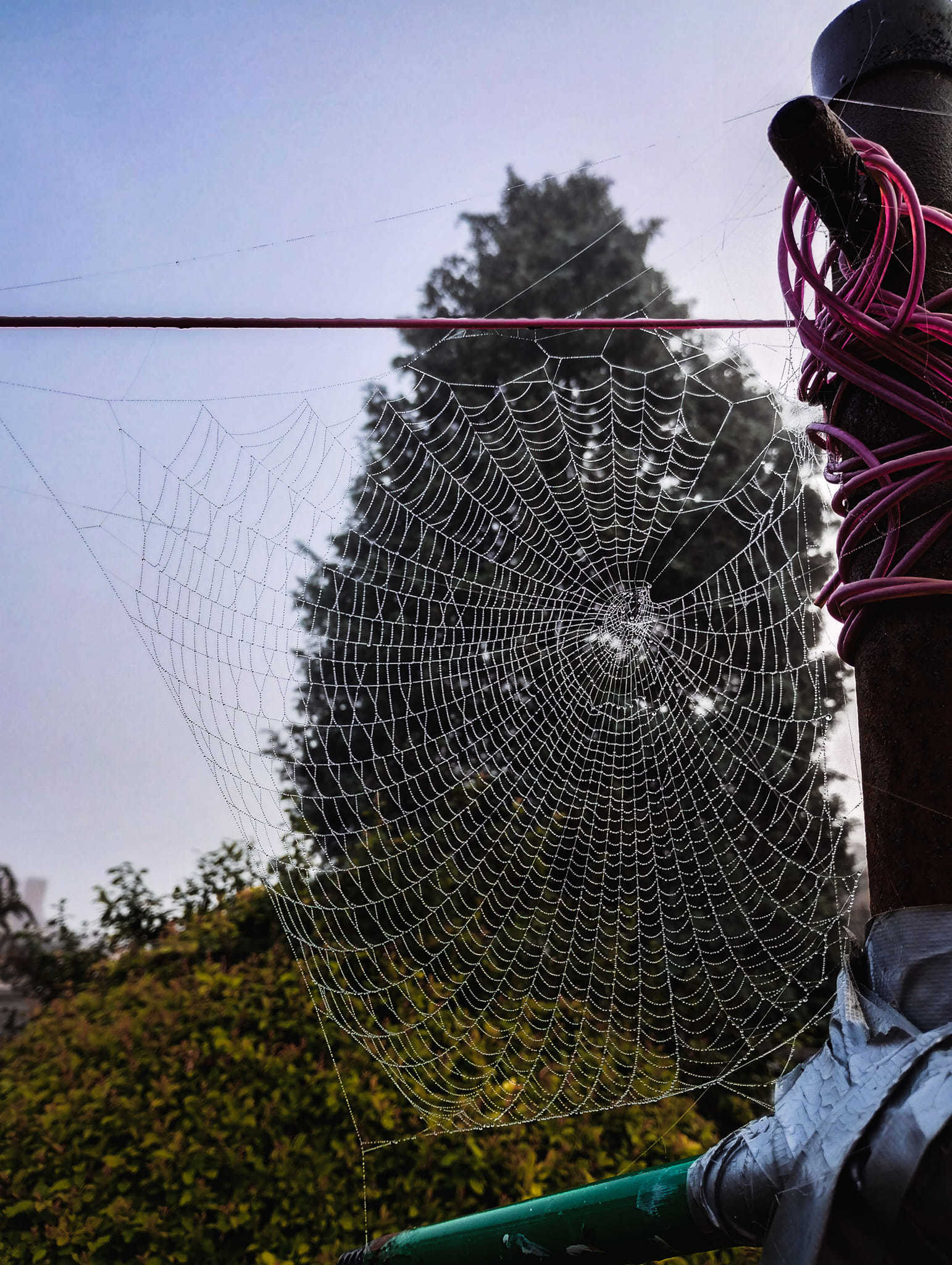 September spiders web by Jen Hill