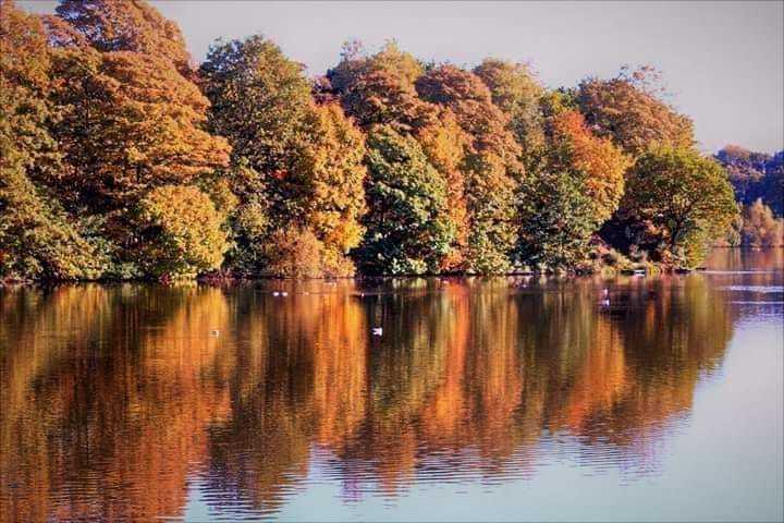 Autumn at Carr Mill Dam by Peter Boylan