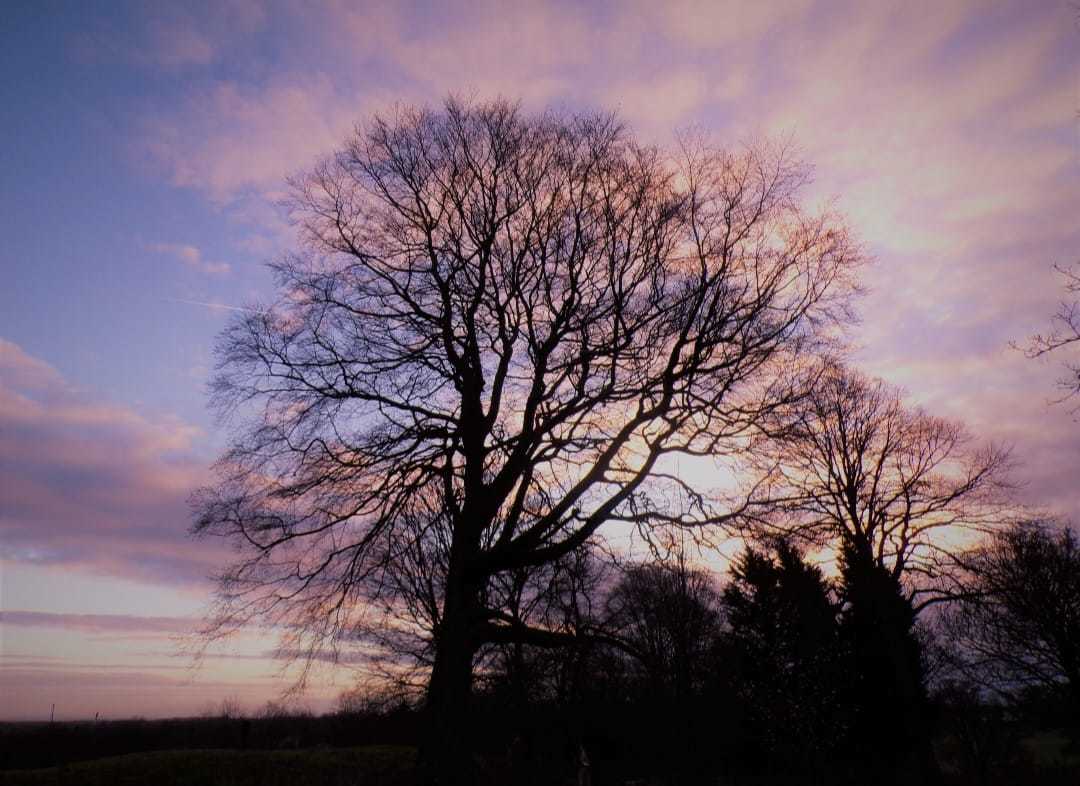 Morning skies at St Helens cemetery by Suzie Remadems