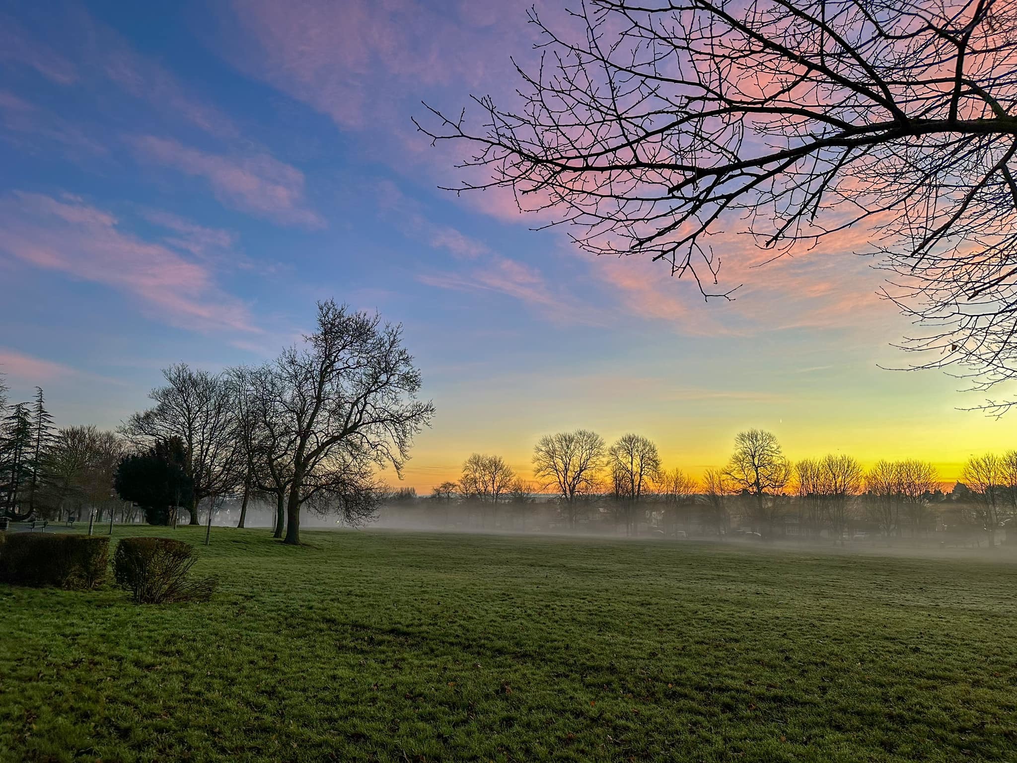 Misty sunrise at Sutton Park by Alan Holland