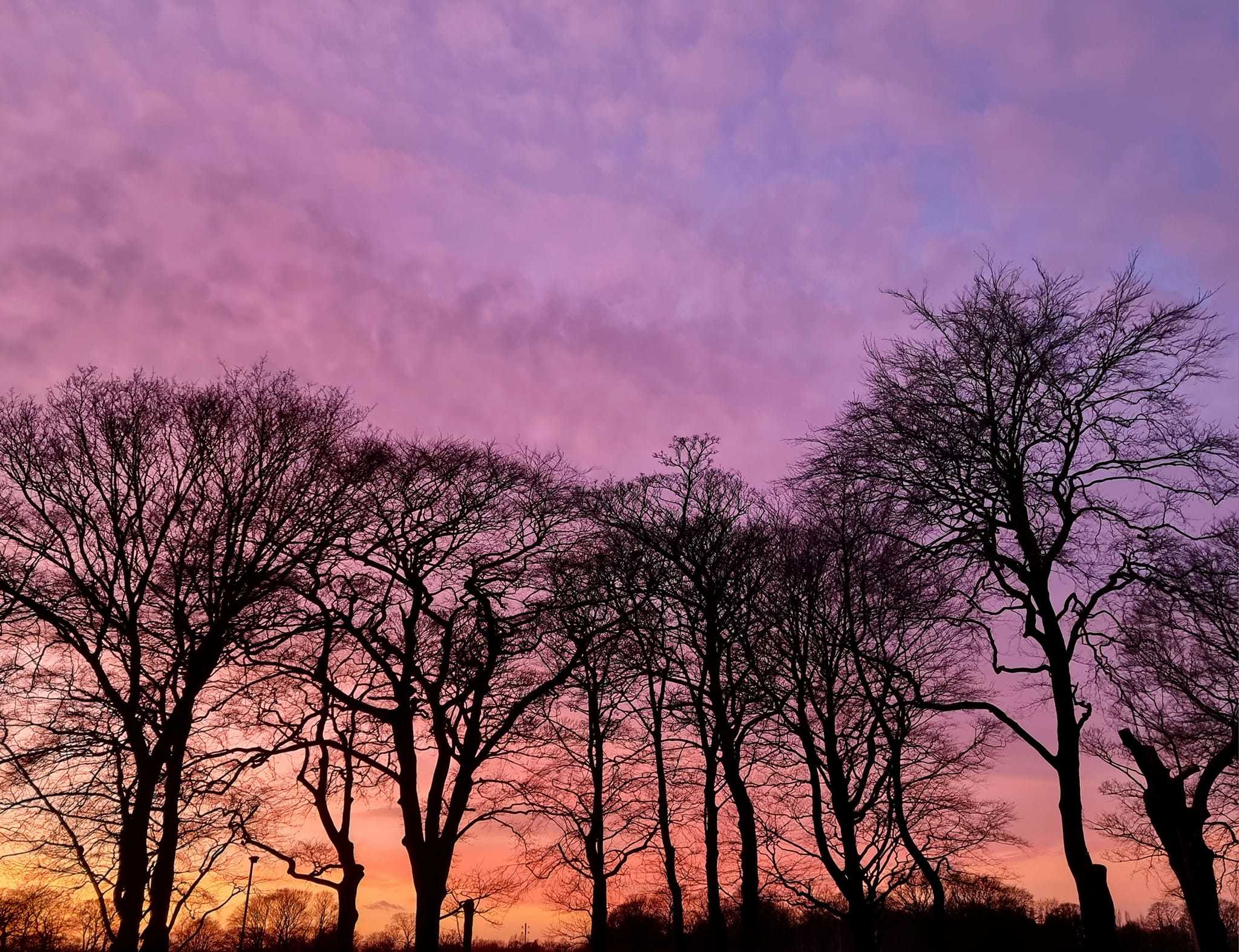 Colourful skies in Sherdley Park by Suzy Makin