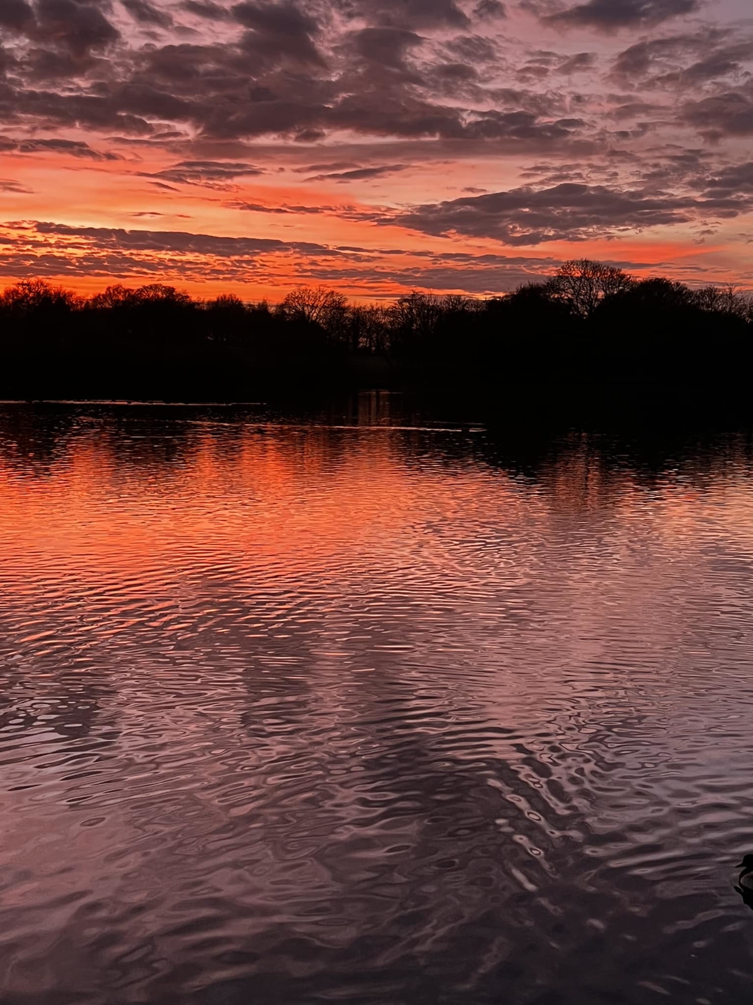 Sunset over Taylor Park by Rosie Anslow