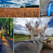 Your best photos taken in St Helens to mark World Photography Day