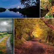 St Helens Camera Club members capture the beauty of trees