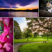 17 fabulous photos taken in St Helens this October