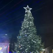 The Christmas tree in Church Square