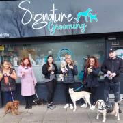Liz and Claire with some of their Signature Grooming clients