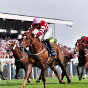 Win tickets to Haydock Park's first flat race meeting of the season