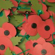 School pupils will plant poppies on soldiers' graves.