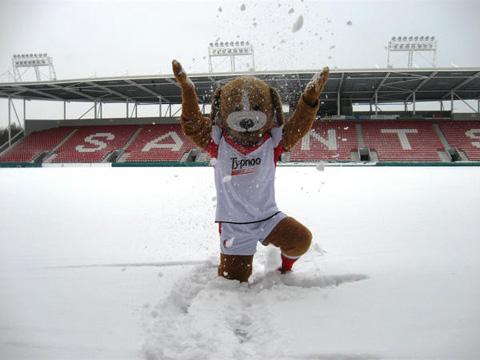 Boots had fun playing in the snow at Langtree Park.