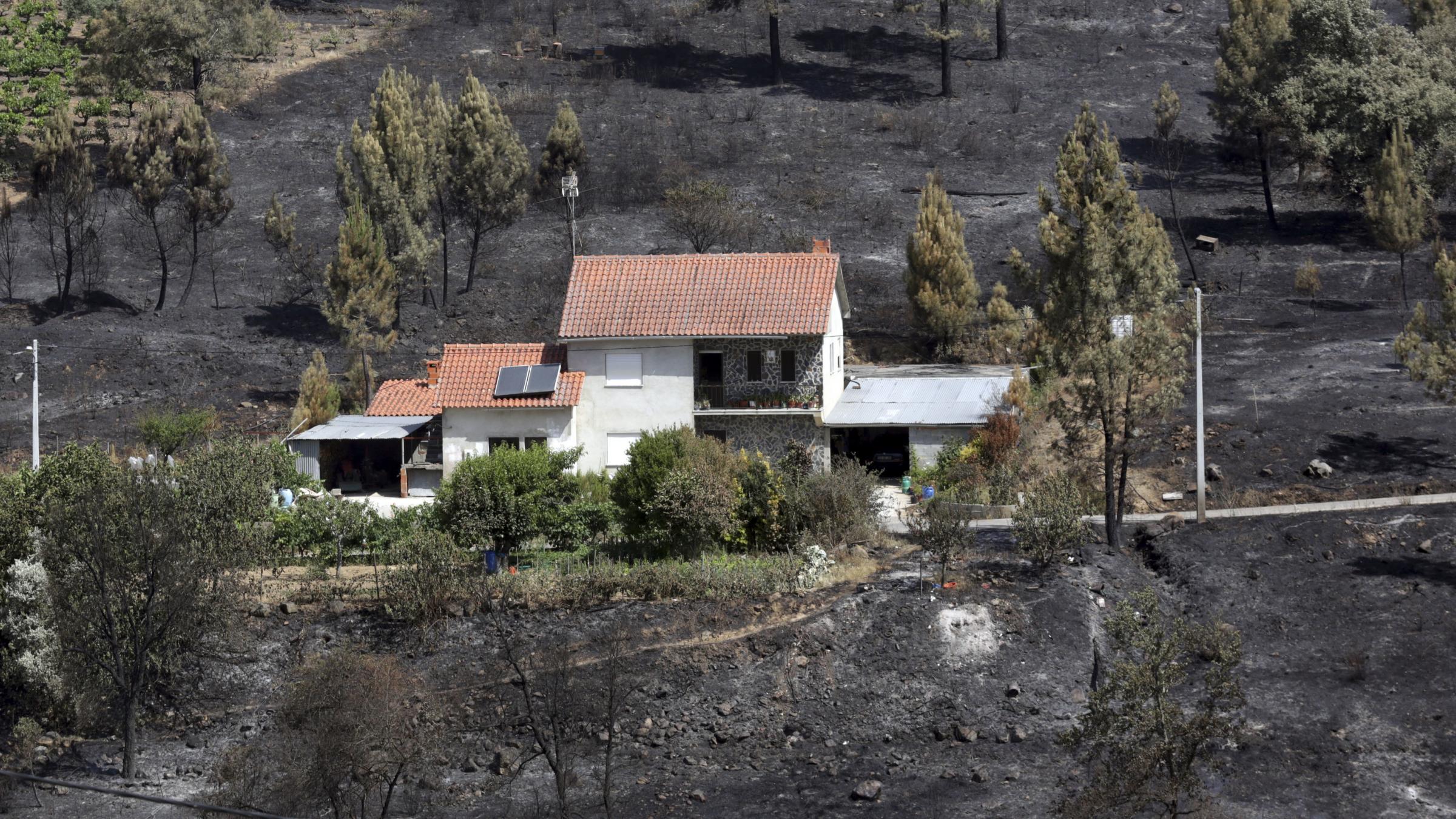 Portugal close to containing wildfire that killed 64 - St Helens Star