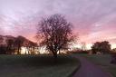 Sunrise at Sherdley Park on a frosty morning