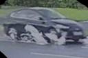 The car was caught on camera running over the geese