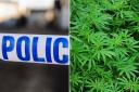 Police have charged a man after they found a cannabis farm
