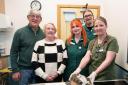 Pete and Janice Faulkner with their pet Flash at Rutland House Vets with registered vet nurses Gemma Birchall and Craig Tessyman, and vet Dr Molly Varga Smith. Photo: Rutland House Vets/ VetPartners
