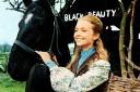 Stacy Dorning with Black Beauty
