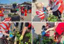 Children and volunteers have been planting around town