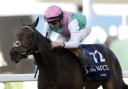 Kalpana heads the Yorkshire Oaks field (Nigel French/PA)