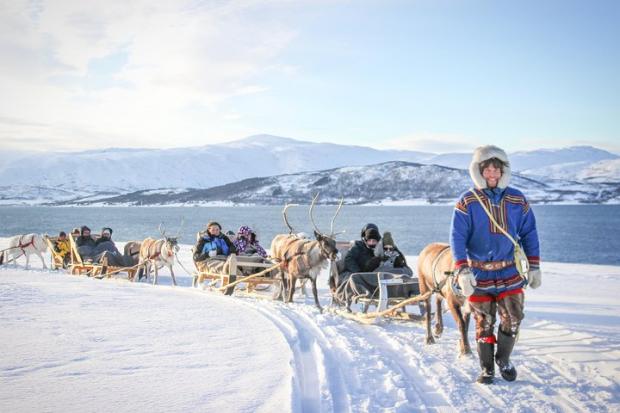 St Helens Star: Reindeer Sledding Experience and Sami Culture Tour from Tromso - Tromso, Norway. Credit: TripAdvisor