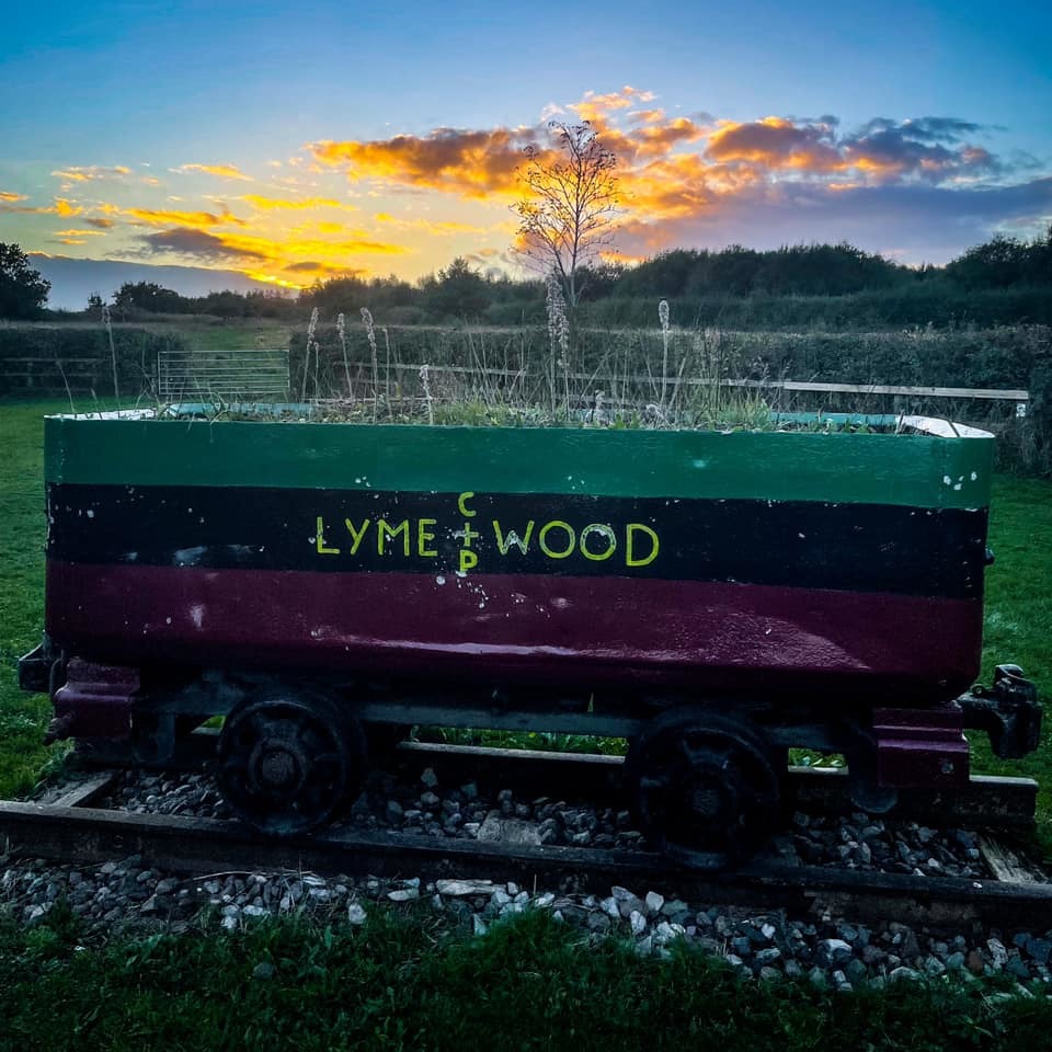 Lyme and Wood Country Park (Picture: Stephen Hovvels)