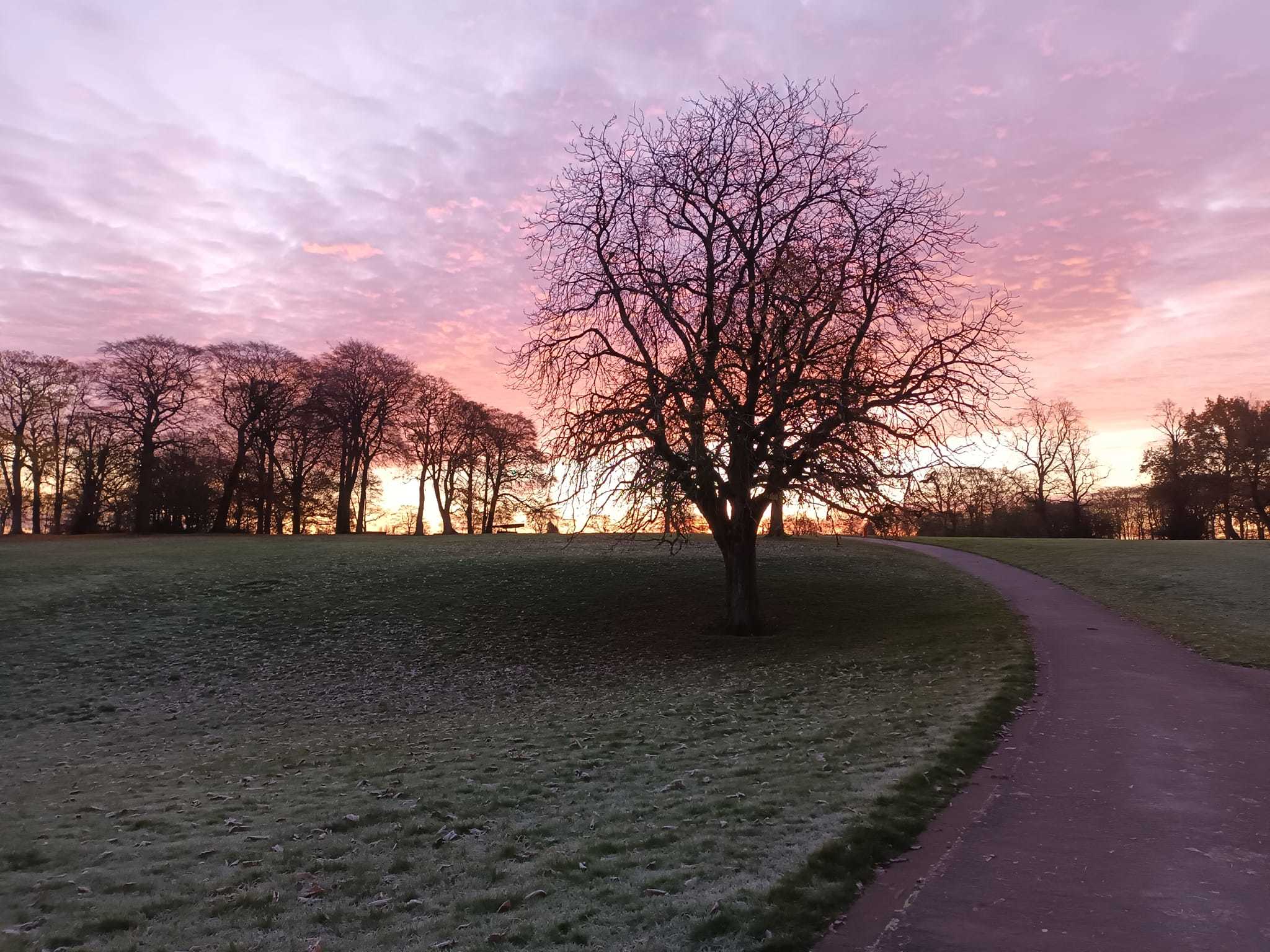 Sunrise at Sherdley Park by Suzie Remadems