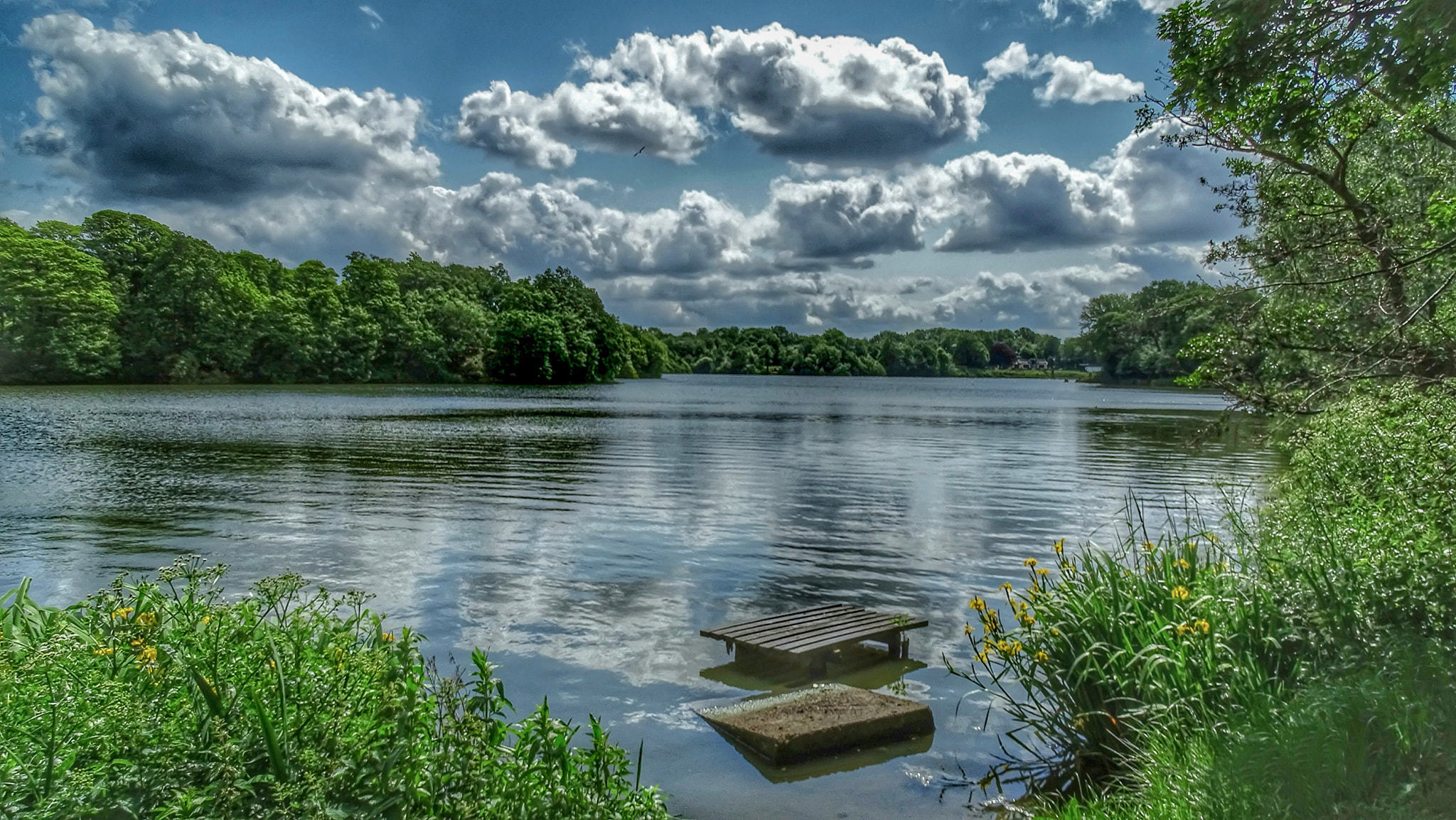 Carr Mill Dam by Chris Shaw