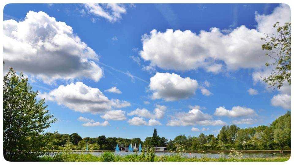 Summer days of old at Eccleston Mere by Ian Greenall