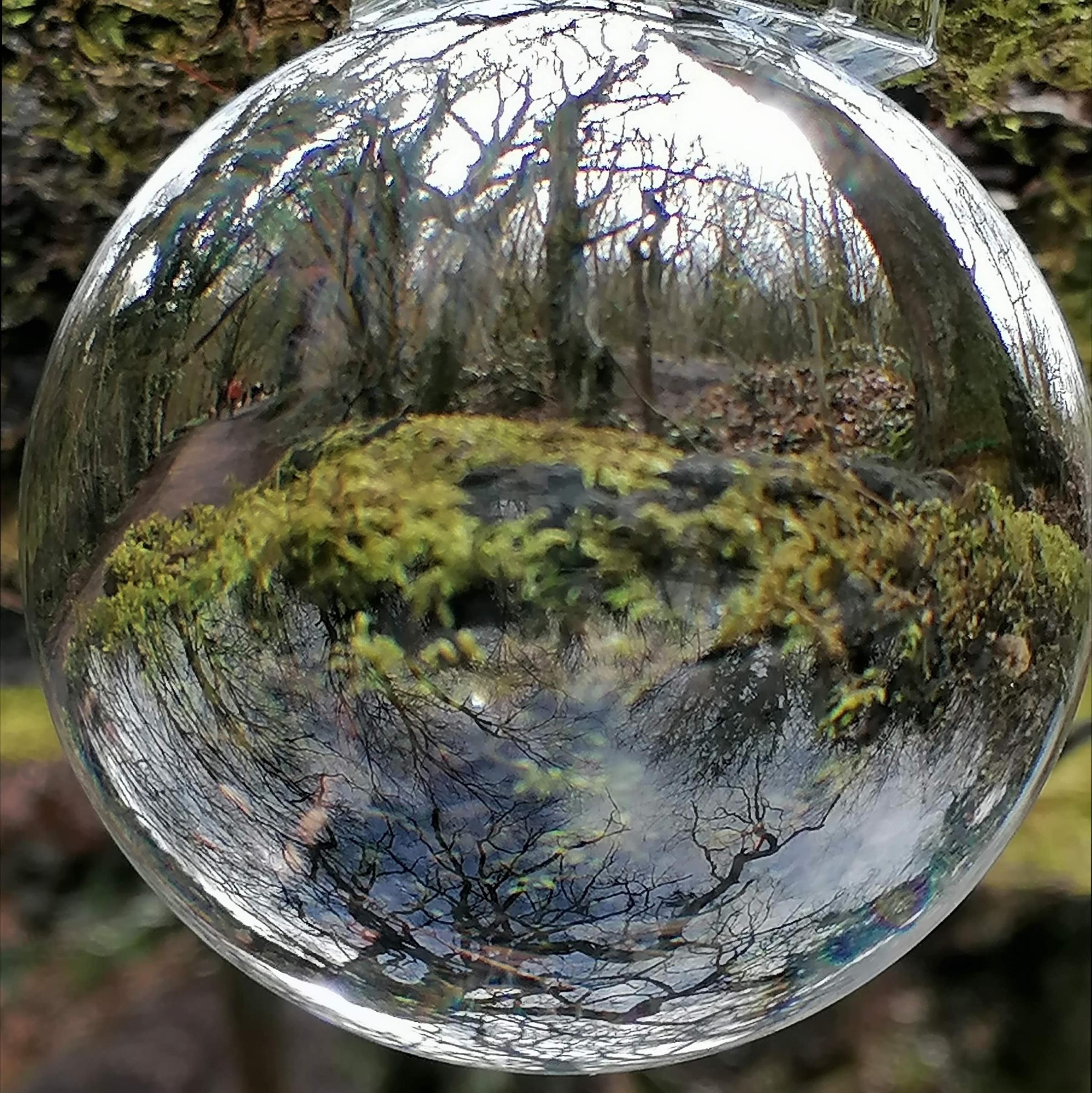 Karen loves experimenting with a lens ball to create unusual images