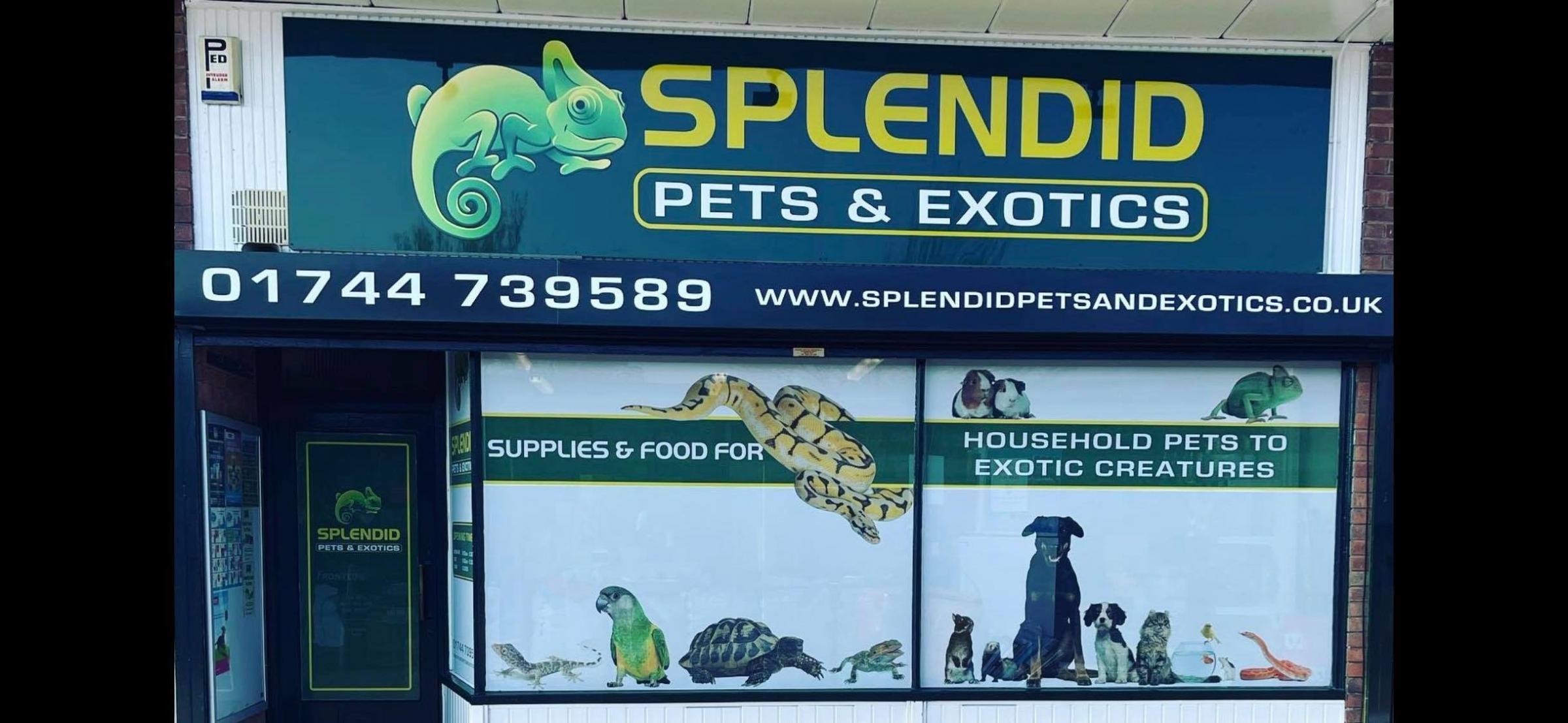 Splendid Pets and Exotics