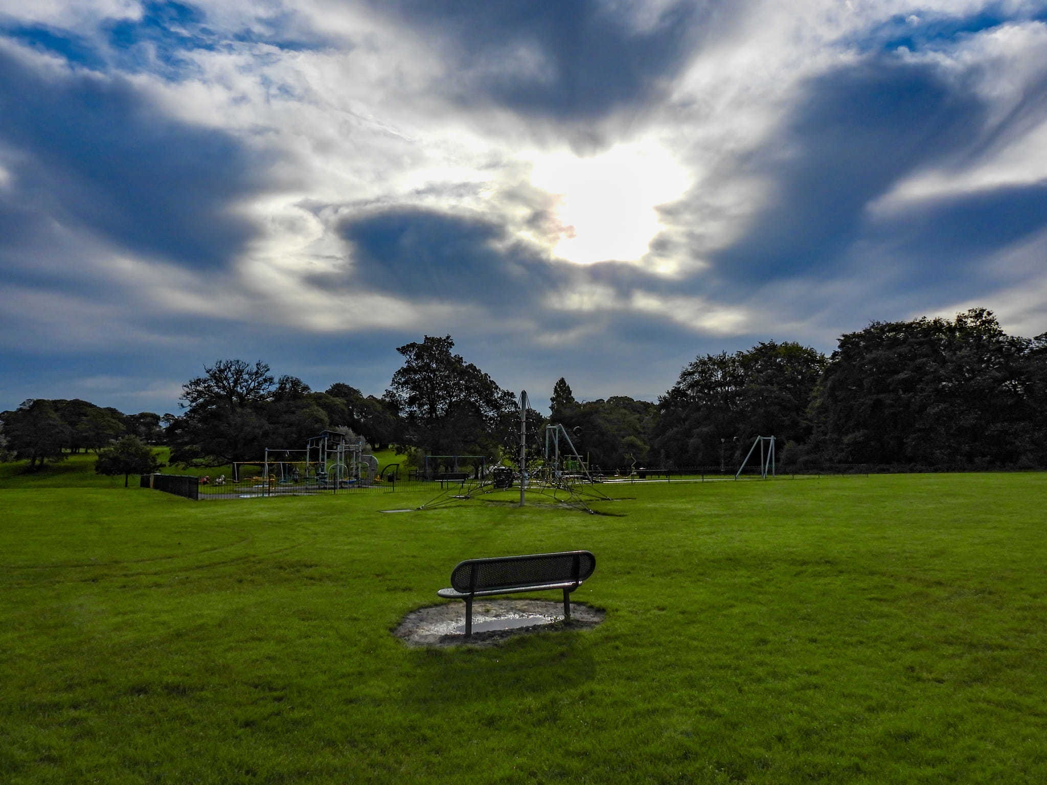 After the rain at Sherdley Park by Chris Shaw