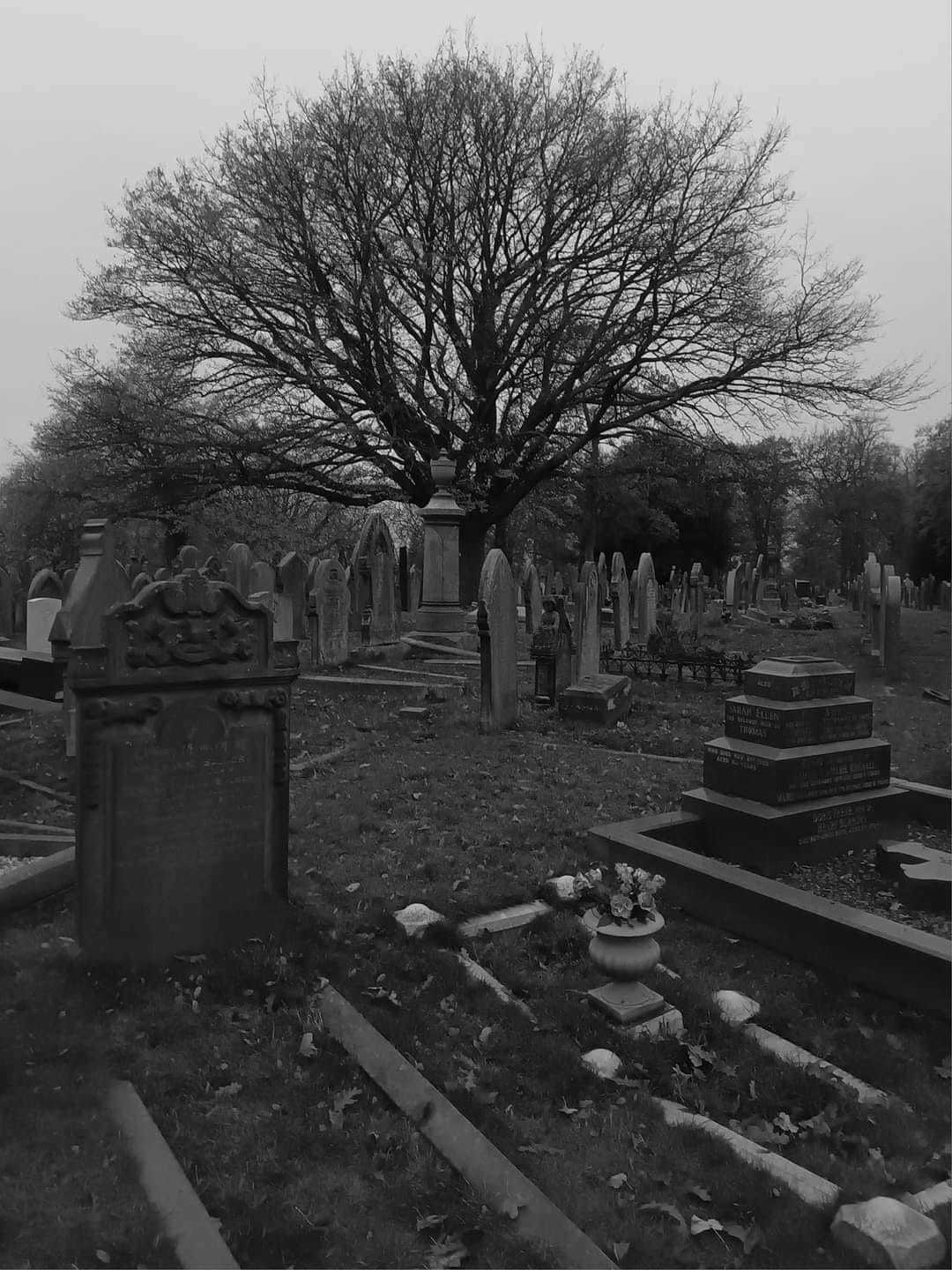 St Helens cemetery by Suzie Remadems