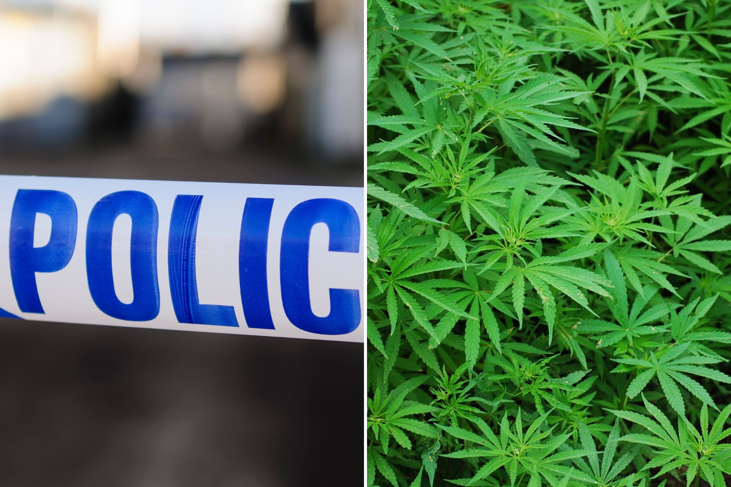 Police name man charged after large cannabis farm discovered at property