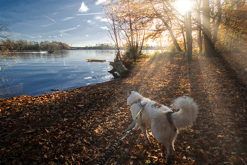 Sunshine at Carr Mill Dam by Mark Cavendish