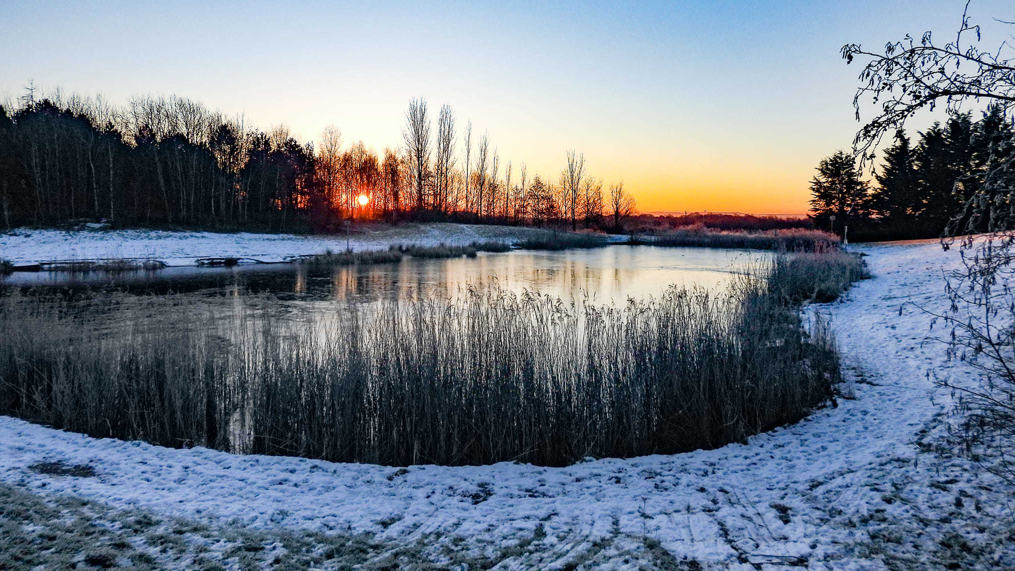 Clock Face Country Park at sunrise by Chris Shaw
