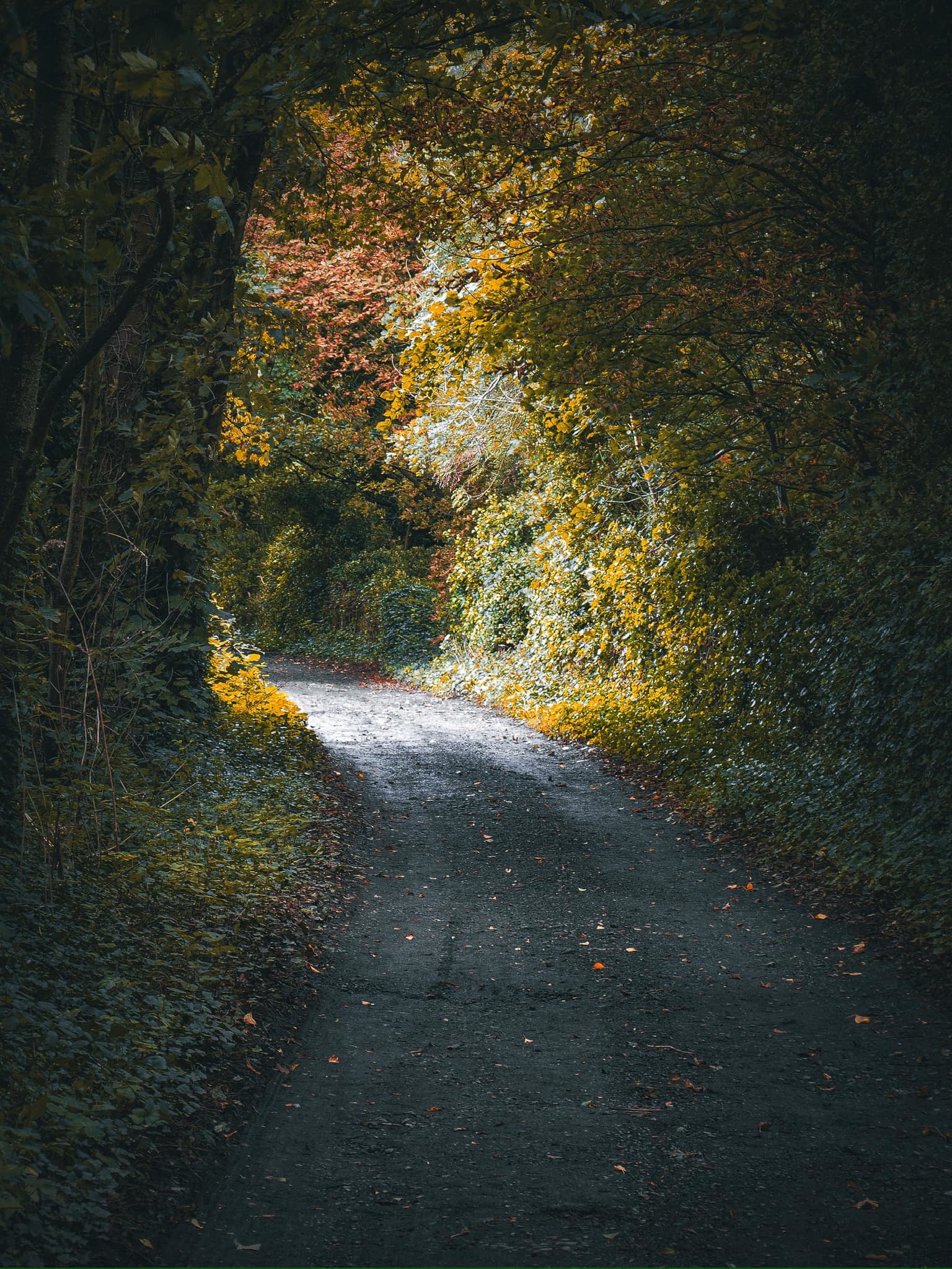 Ivy Lane, Rainford by Gareth Olley