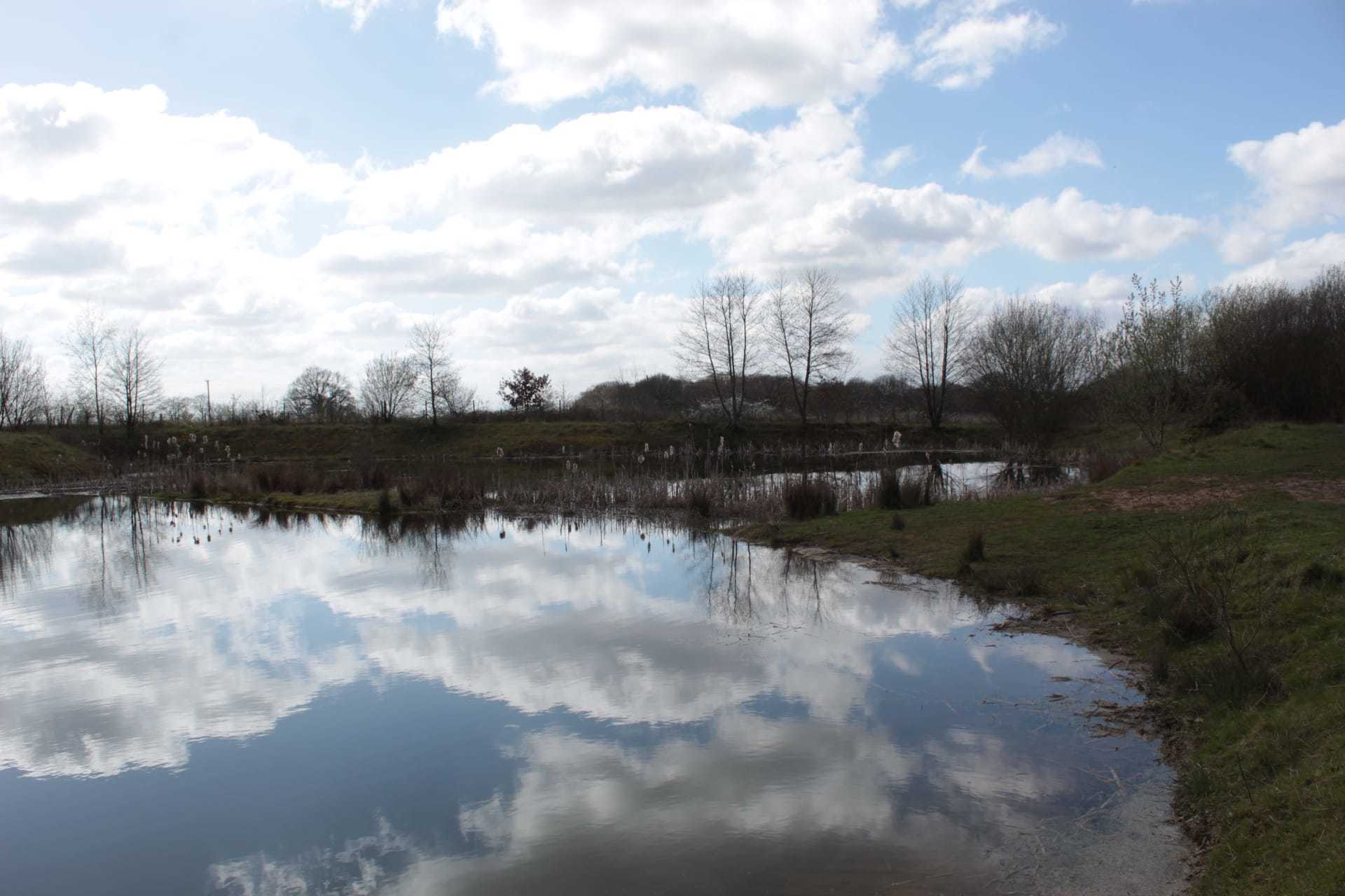 Lyme and Wood Pits Country Park by Carol Southward