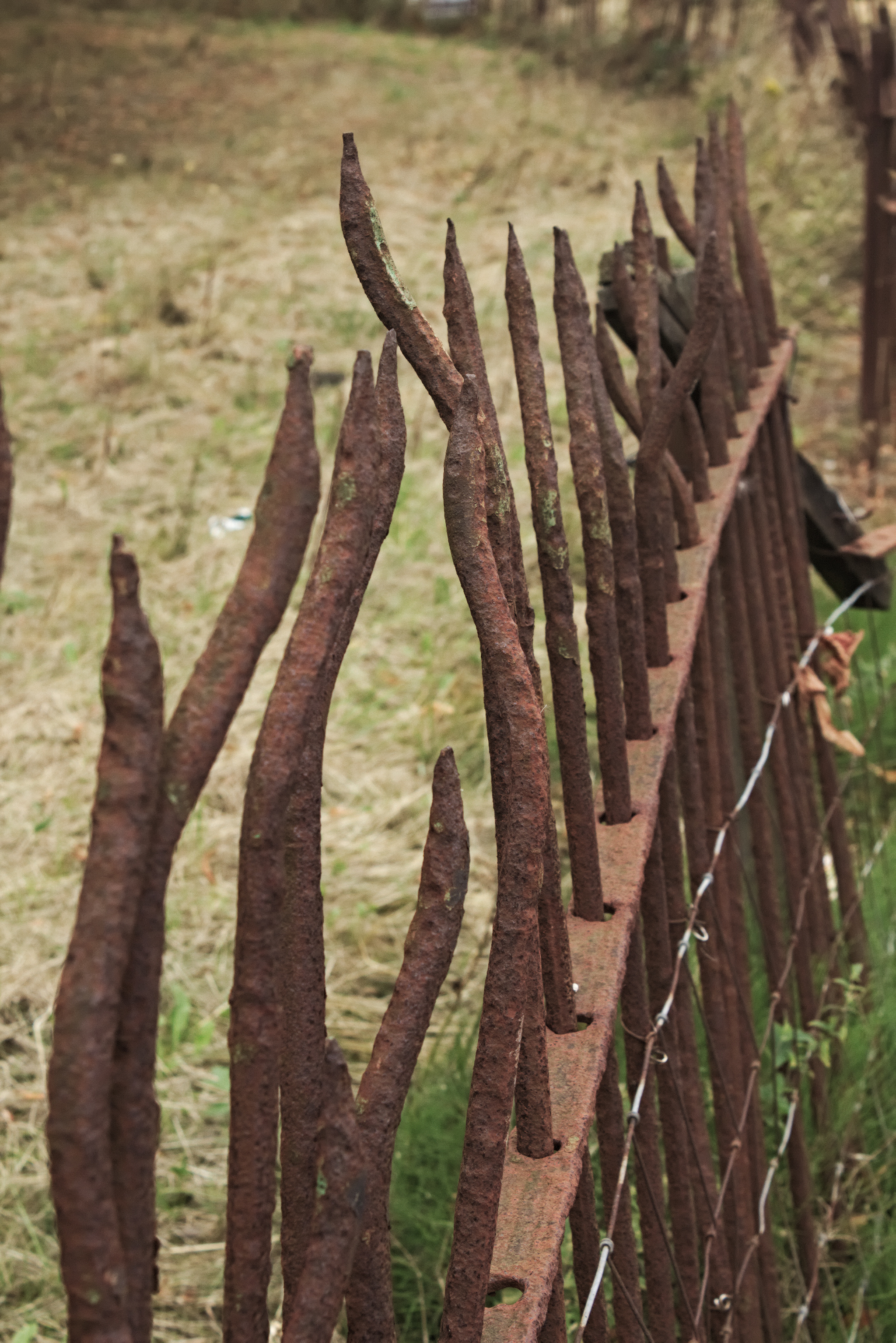 Rusty fence on Moss Bank Road