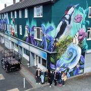 Faunagraphic's huge Woodpecker mural in Parr (Picture by Radka Dolinska)