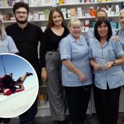 From left to right: Kelly Peers, Ben Peers, our pharmacist Aoife Diamond, Christine Boady, Eve Harrison, Pam Renshall and Aimee Bate