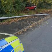 Provisional driver reported after crashing into tree