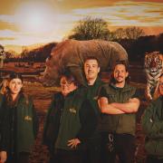 Knowsley Safari docuseries to air on Channel 4
