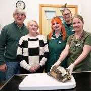 Pete and Janice Faulkner with their pet Flash at Rutland House Vets with registered vet nurses Gemma Birchall and Craig Tessyman, and vet Dr Molly Varga Smith. Photo: Rutland House Vets/ VetPartners