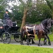 Mel's coffin being transported to St Helens Crematorium by two horses